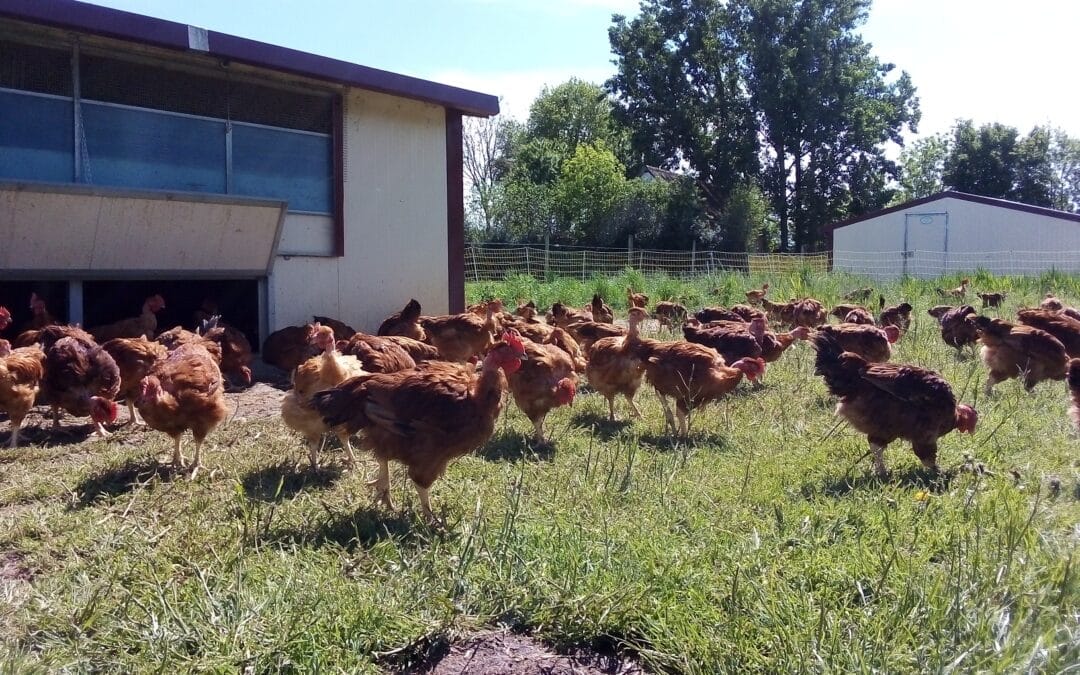 Ferme Houet