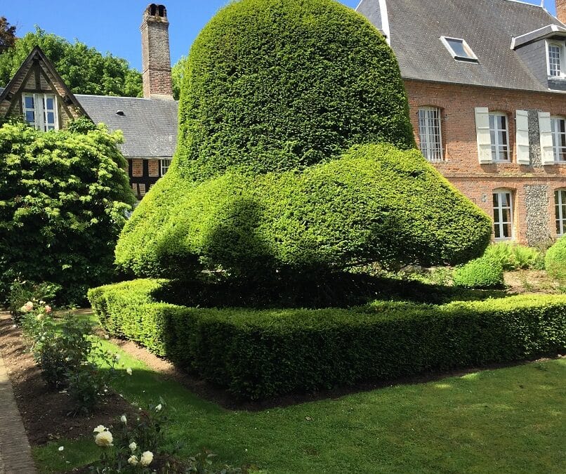 Jardin des Ifs