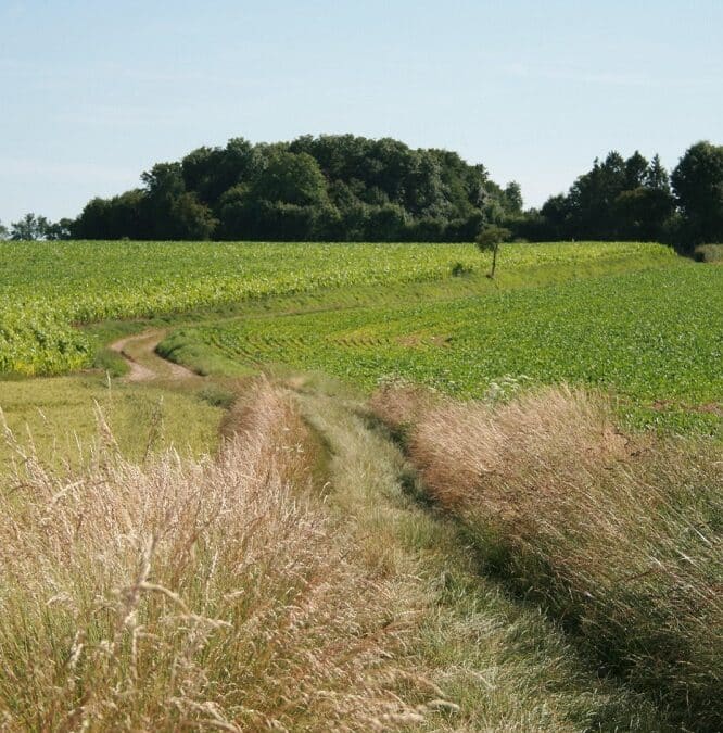 La Vallée du Petit Thérain